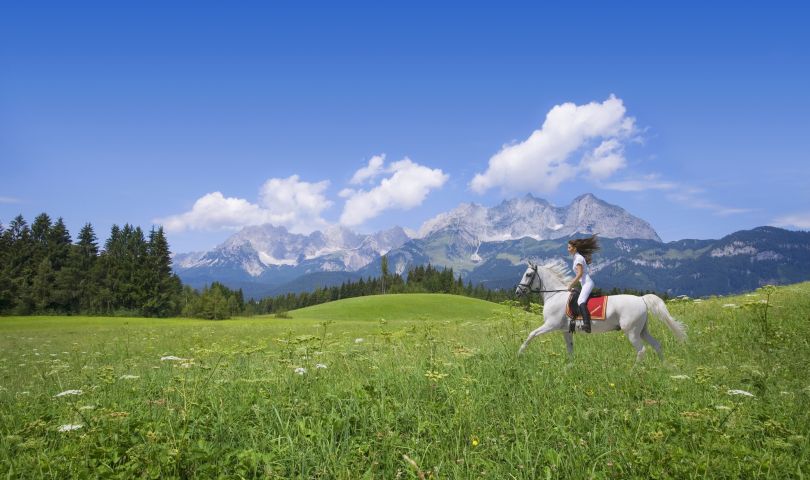 Holiday for horse and rider