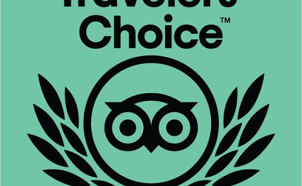 Travelers' Choice Award 2020