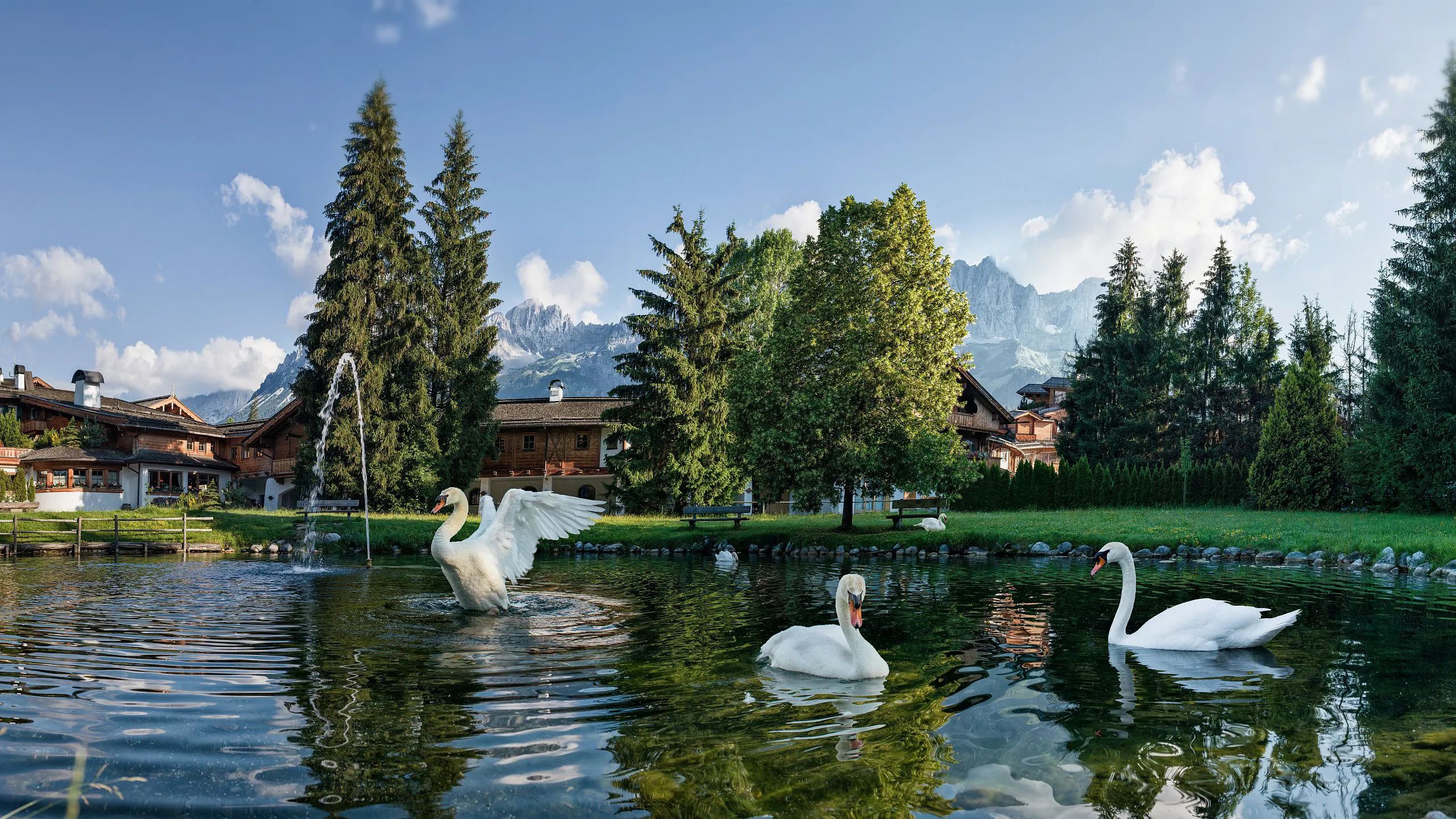 Schwanenteich Sommer