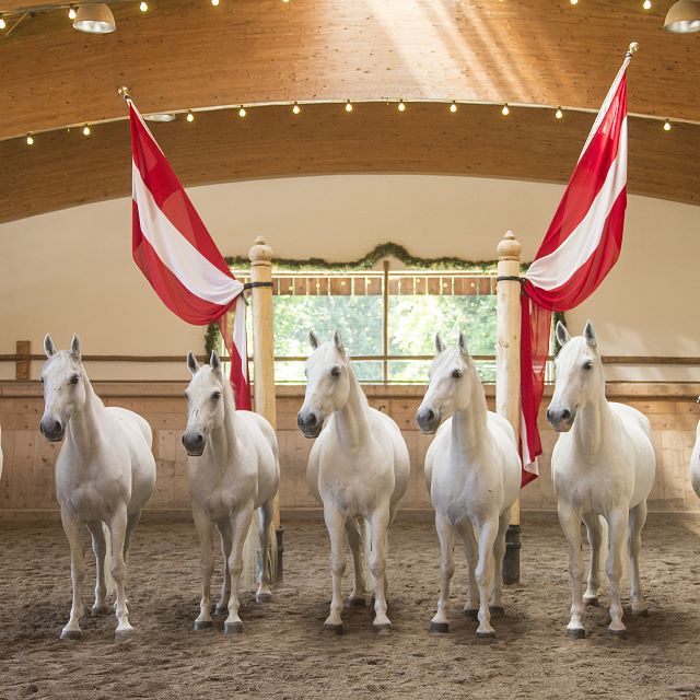 Lipizzaner Reitschule