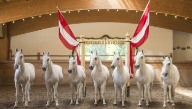 Riding school