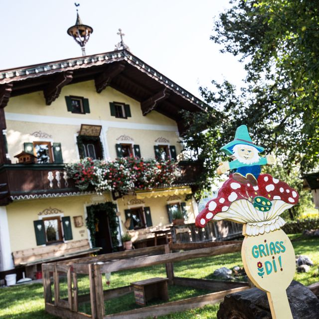 The children's farm