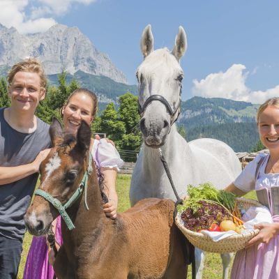 Unsere Lipizzaner-Paten