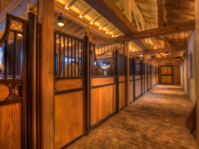 Lipizzaner Stall