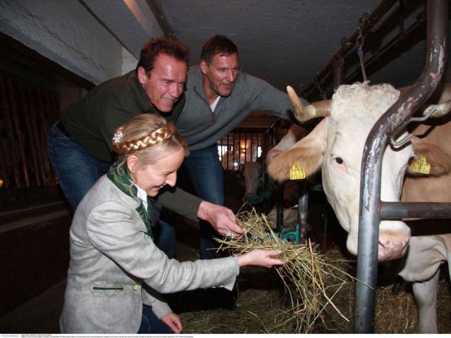 Maria Hauser, Arnold Schwarzenegger und Ralf Möller