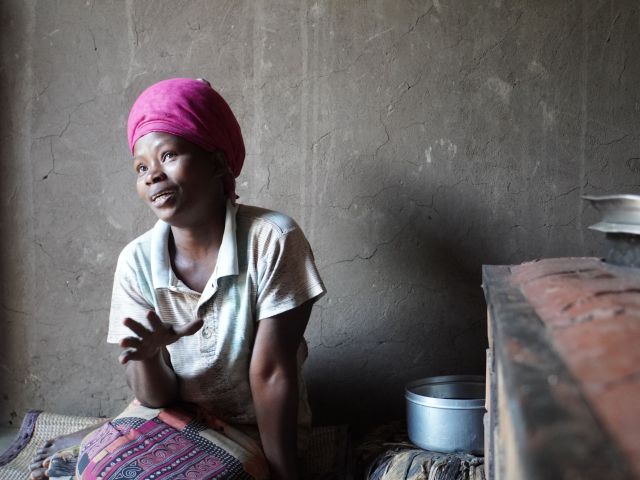 The SChwarzenegger climate initiative_cooking stoves